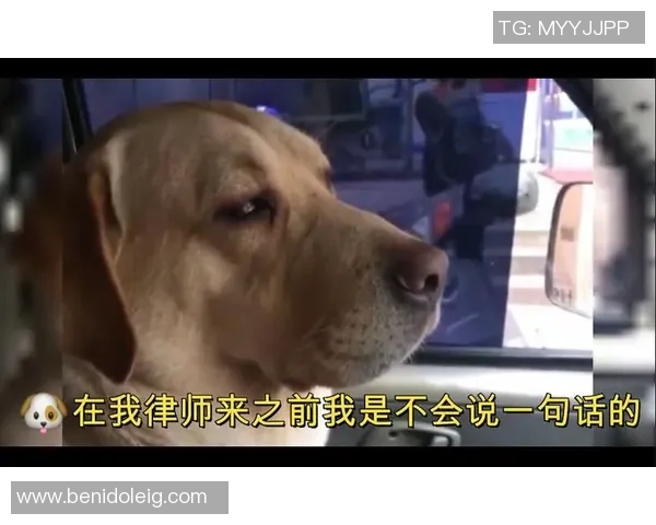 弗莱吐槽队友比赛中途狂奔厕所的搞笑瞬间引发热议 弗莱吐槽队友比赛中途狂奔厕所的搞笑瞬间引发热议